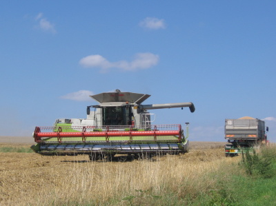 Klass Lexion 600